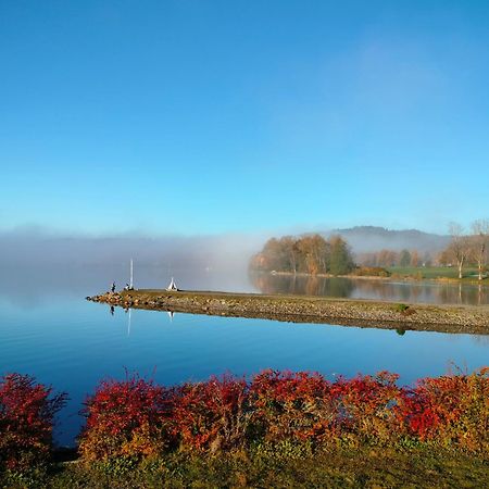 Apartman Aja - Lipno Nad Vltavou Eksteriør billede